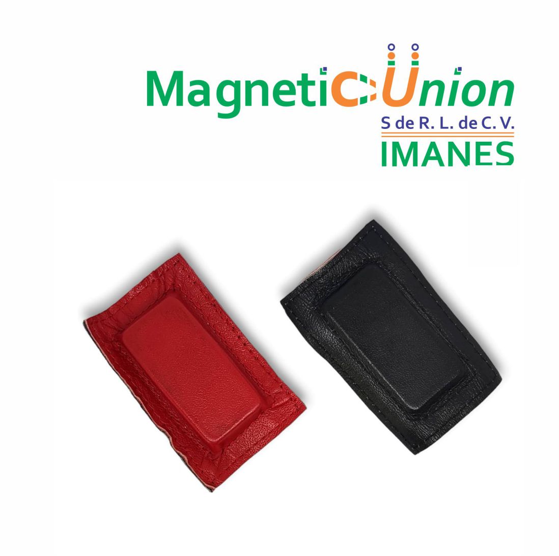 Imán de Ferrita Biomagnético FBT 47X22X9 (dominó)